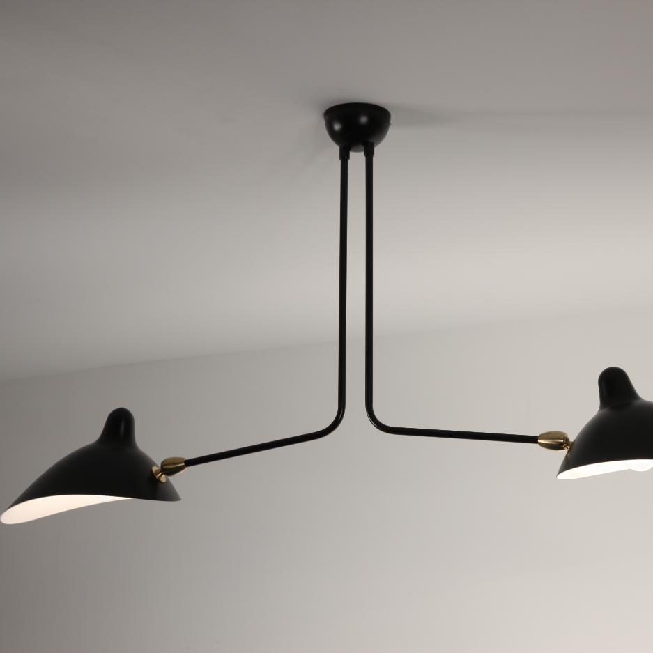 Plafonnier 2 Bras Fixes